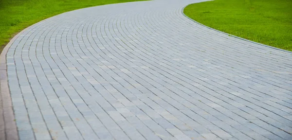 Кам'яна стежка в парку — стокове фото