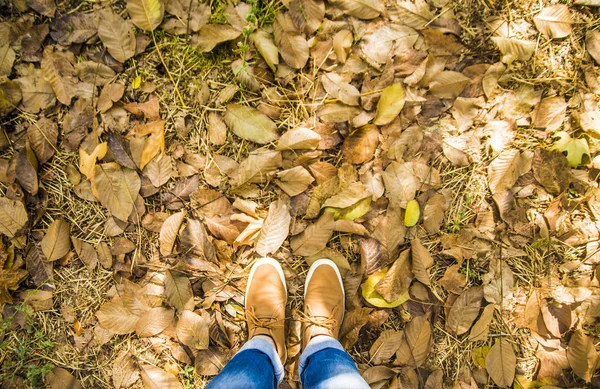 Hombre de pie sobre hojas de otoño —  Fotos de Stock