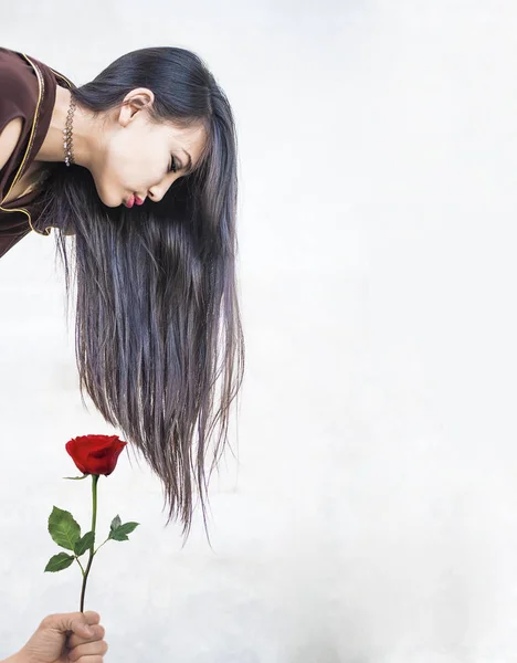 Ruce, dát žena červená růže — Stock fotografie