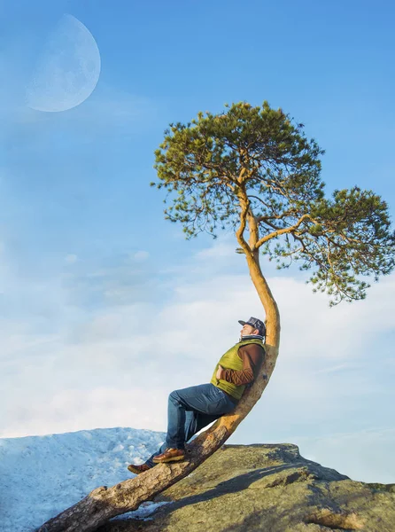 casual dressed man  on alone crooked curve pine tree against clear blue sky with clouds.