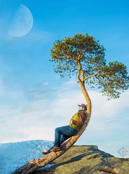 Jovem Turista Relaxante Árvore Nas Montanhas Altai — Fotografia de Stock