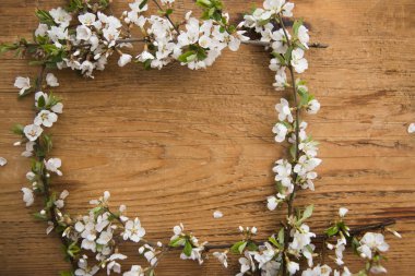 Beyaz bahar çiçekleri