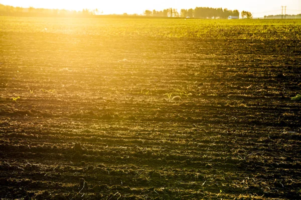 Campo agrícola e por do sol . — Fotografia de Stock