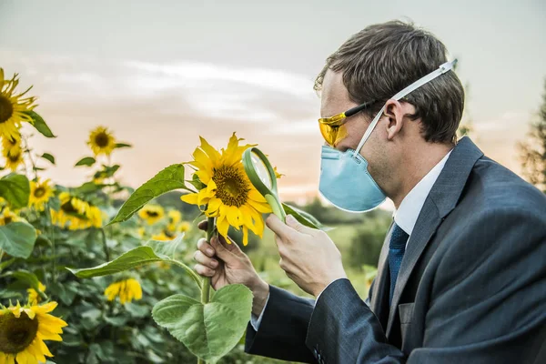 虫眼鏡でひまわりを見て男のクローズ アップ 農学者 — ストック写真
