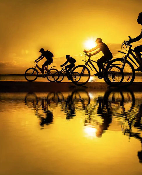 Empty Space Sporty Friends Bicycles Sunset Cyclists Riding Coast Sport — Stock Photo, Image