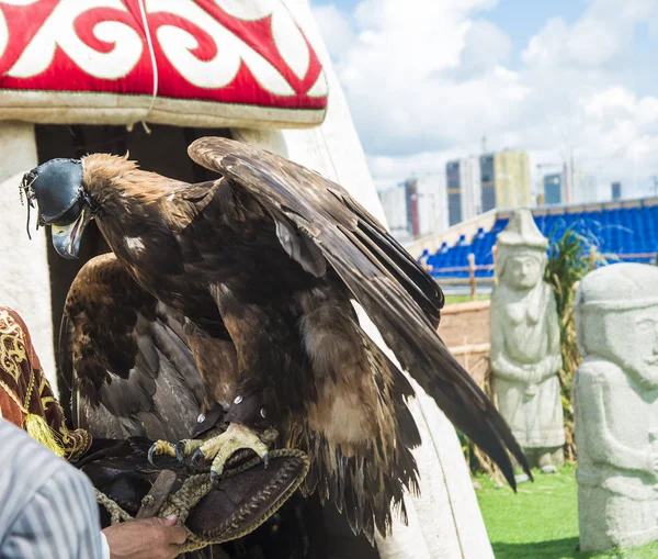 Bozkır kartalı bir yandan Trainer 