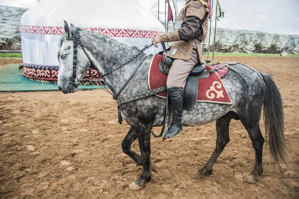 Азиатский воин на лошади — стоковое фото