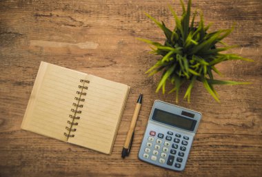 defter, hesap makinesi, kalem, bitki