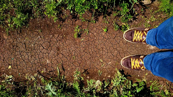 Πόδια σε καφέ παπούτσια πεζοπορίας — Φωτογραφία Αρχείου