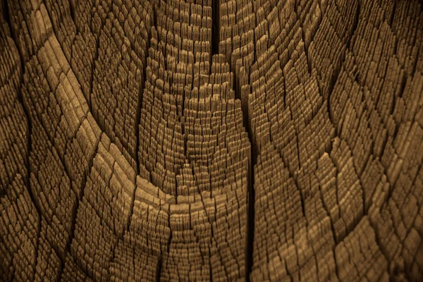 Pezzo di grande tronco d'albero di legno . — Foto Stock