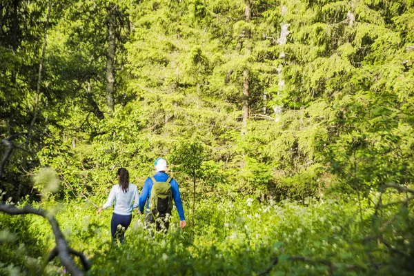 Vahşi dağ ormanında bir çift turist sırt çantalı. arka görünümü. Aktif turizm. Doğada seyahat eden kadın ve erkek. yazıt veya nesneler için boş kopyalama alanı. yaz sezonu 