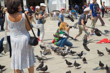 kadın alarak resim güvercin
