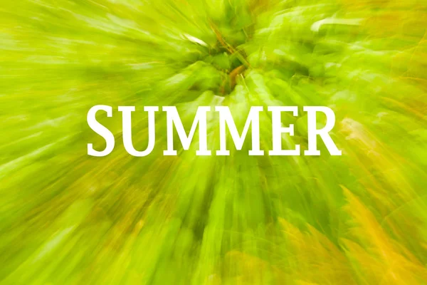 Grünes Gras Abstrakt Mit Wort Sommer Auf Verschwommenem Hintergrund — Stockfoto