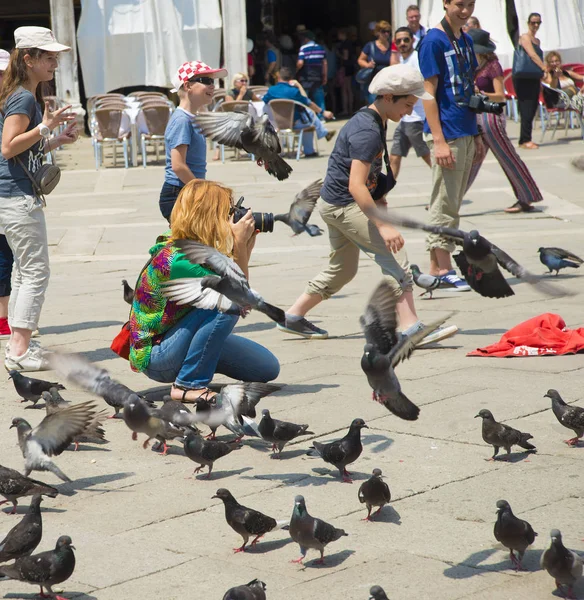 Женщина фотографирует голубей — стоковое фото