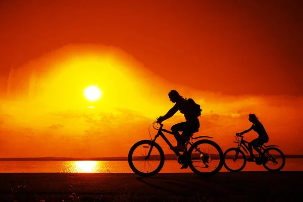 Sportiga Vänner Cyklar Sunset Siluetter Cyklister Kusten Sport Naturen Bakgrund — Stockfoto