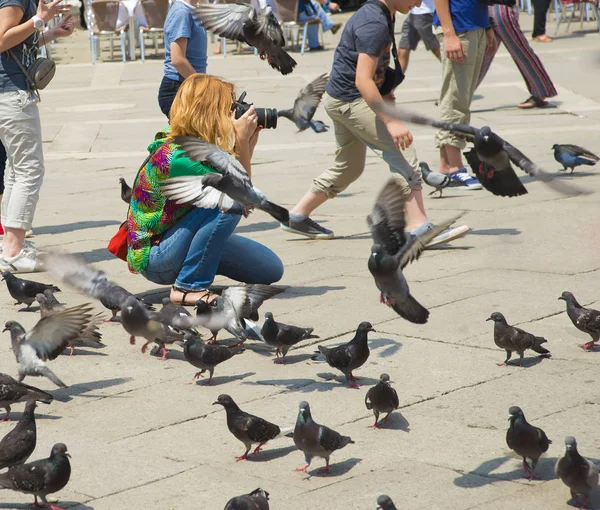 Femme prenant des photos de pigeons — Photo