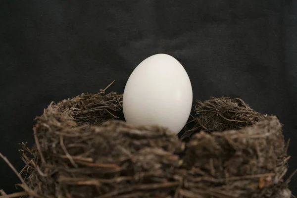 Uno solo huevo blanco — Foto de Stock