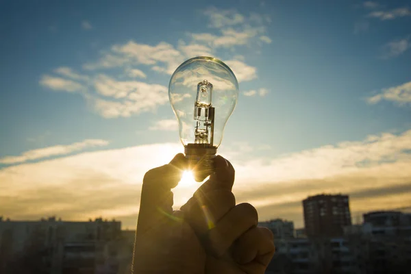 Hand Holding gloeilamp — Stockfoto