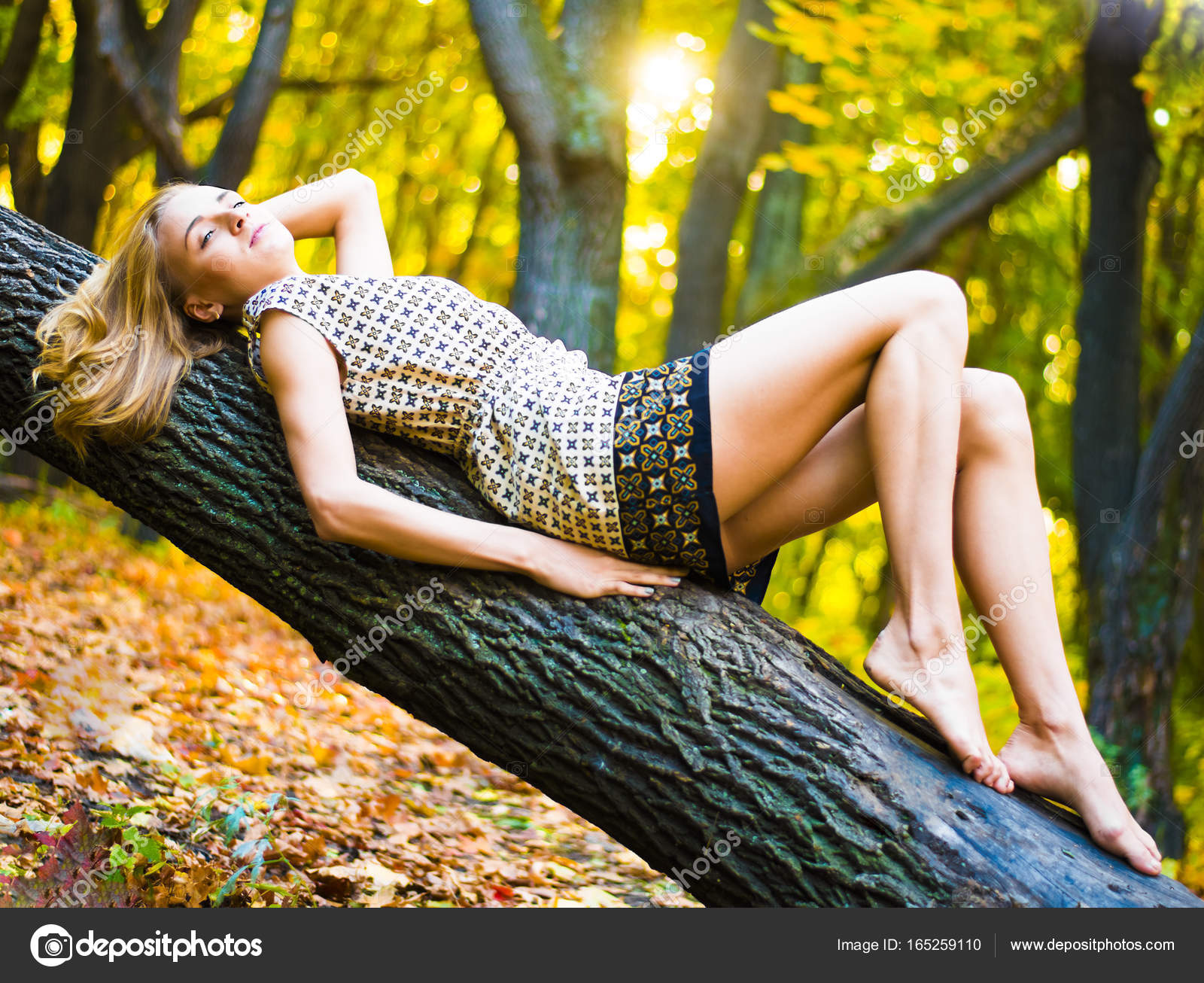 https://st3.depositphotos.com/5647624/16525/i/1600/depositphotos_165259110-stock-photo-girl-lying-on-a-fallen.jpg