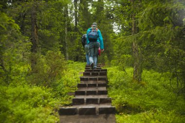 turistler ahşap geçit üzerinde yürüyor 