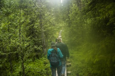 turistler ahşap geçit üzerinde yürüyor 