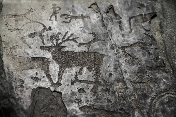 Figure di animali su muro di pietra — Foto Stock