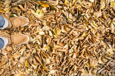 dostum ayakta üzerinde sonbahar yaprakları