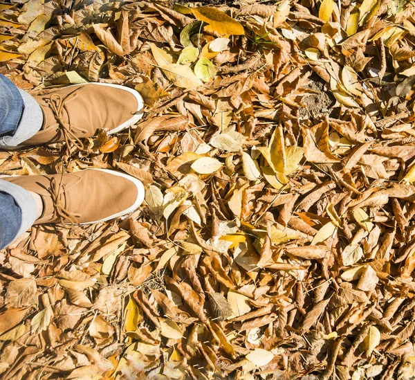 Uomo in piedi sulle foglie d'autunno — Foto Stock