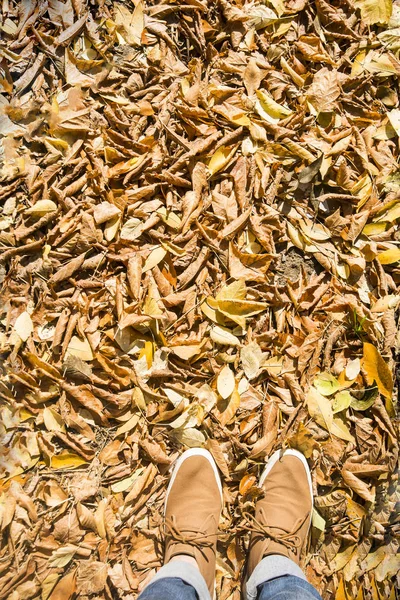 Man  standing on autumn leaves — Stock Photo, Image