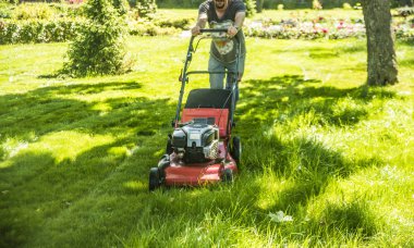 onun arka görünümü bir çim biçme makinesi ile adam. Güneşli yaz gün.