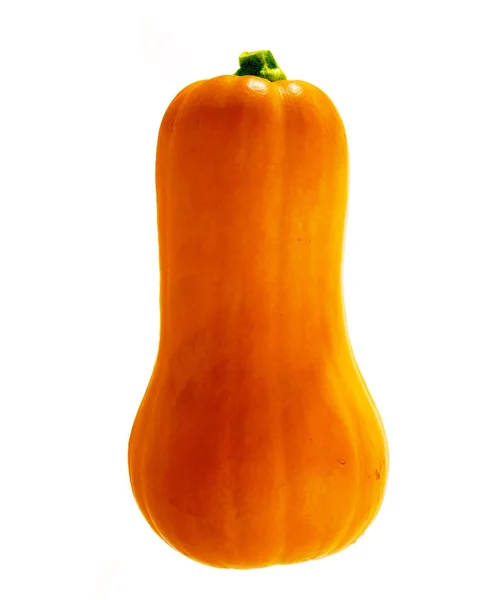 Gul orange hela pumpa — Stockfoto