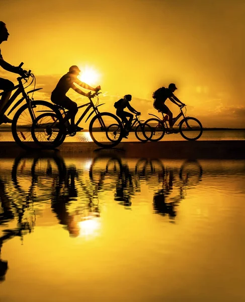 Empty Space Sporty Friends Bicycles Sunset Cyclists Riding Coast Sport — Stock Photo, Image