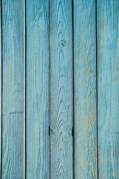 Gammelt malet blåt træhegn - Stock-foto