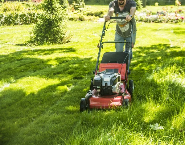 onun arka görünümü bir çim biçme makinesi ile adam. Güneşli yaz gün.