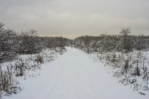 kar fırtınası. citypark kar yağışı.