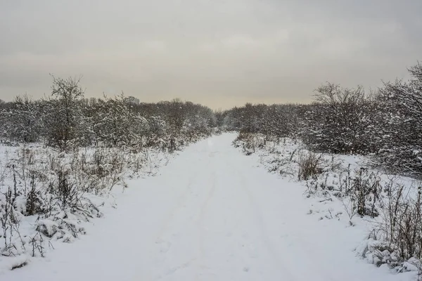 kar fırtınası. citypark kar yağışı.