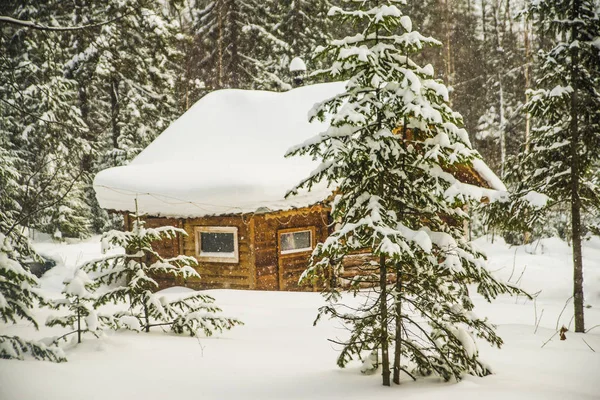 Casa en bosque de hadas de nieve — Foto de Stock