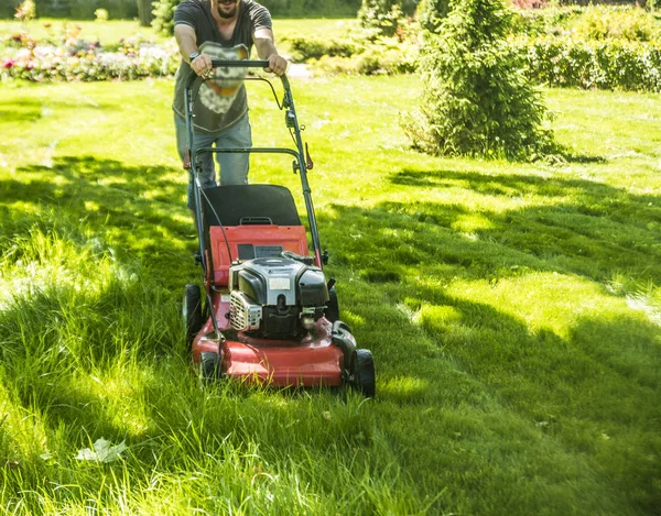 onun arka görünümü bir çim biçme makinesi ile adam. Güneşli yaz gün.