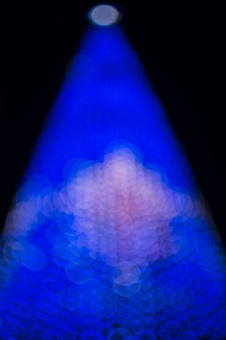 Yılbaşı çam ağacı