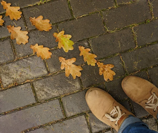 Uomo in scarpe e foglie bagnate — Foto Stock