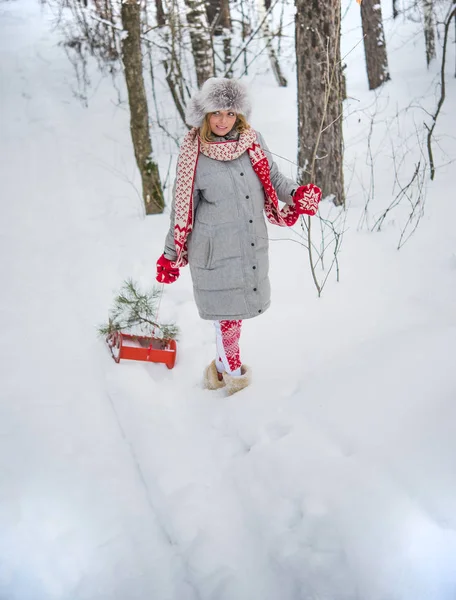 Κορίτσι για μια βόλτα στο δάσος. — Φωτογραφία Αρχείου