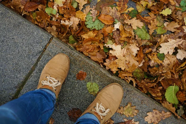 Piernas de pie entre las hojas de otoño —  Fotos de Stock