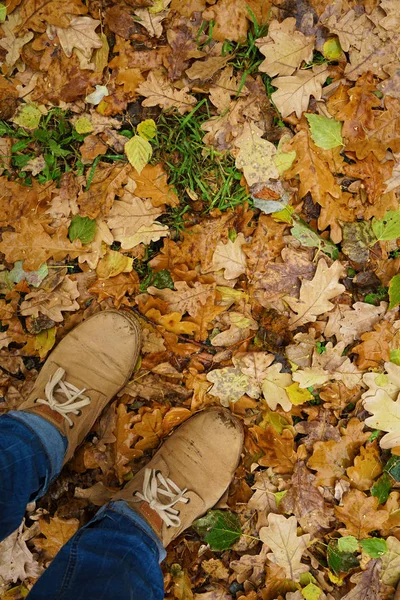 Hombre de pie sobre hojas de otoño —  Fotos de Stock