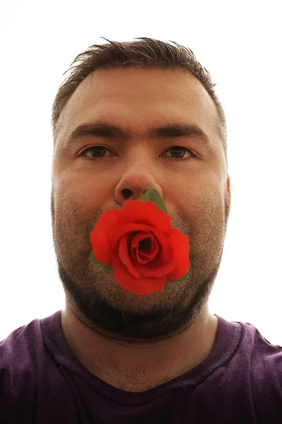 Homme Barbu Avec Fleur Rose Rouge Dans Bouche Isolé Sur — Photo