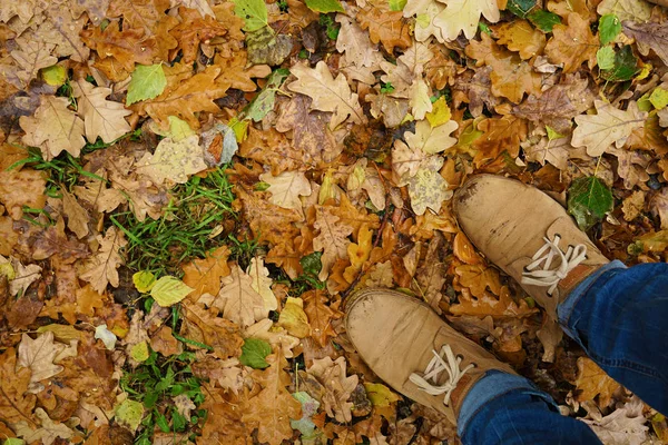 Homme debout sur les feuilles d'automne — Photo