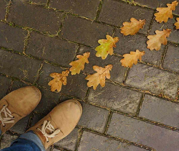 Uomo in scarpe e foglie bagnate — Foto Stock