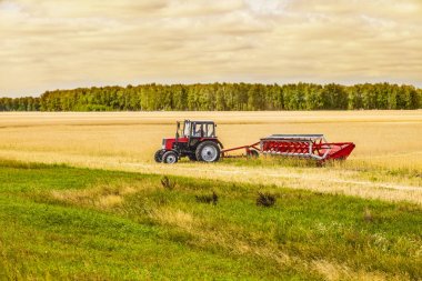 Römork yağlı tohum tecavüz ile yüklü