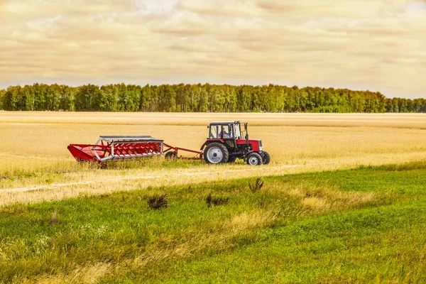 Trailer  loaded with oilseed rape — Stock Photo, Image