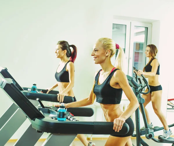 Jóvenes Mujeres Deportivas Corriendo Las Cintas Correr Gimnasio —  Fotos de Stock