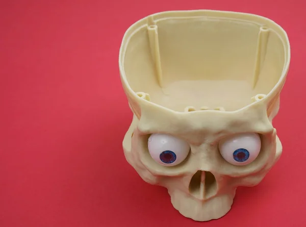 プラスチック人間の頭蓋骨 — ストック写真